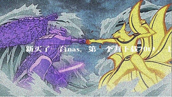 新买了一台nas，第一个月下载20t+，上传5+，不会被网警盯上吧?