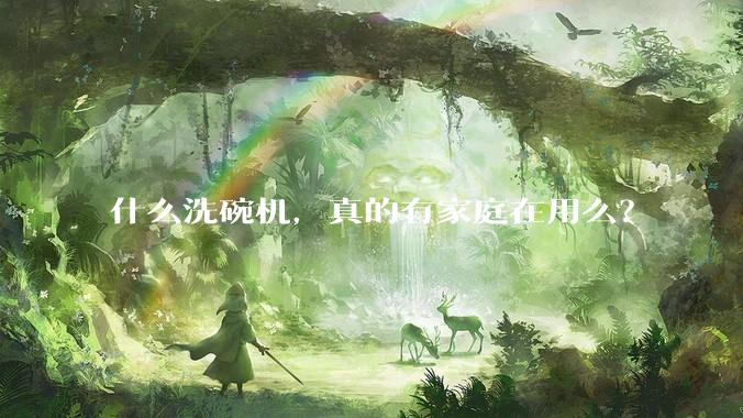 什么洗碗机，真的有家庭在用么？