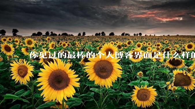 你见过的最棒的个人博客界面是什么样的？