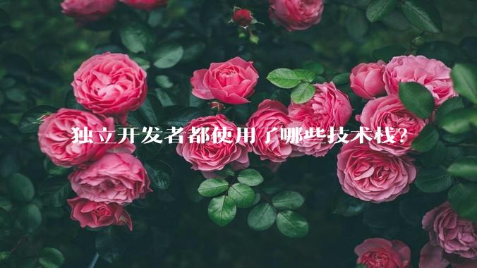 独立开发者都使用了哪些技术栈？