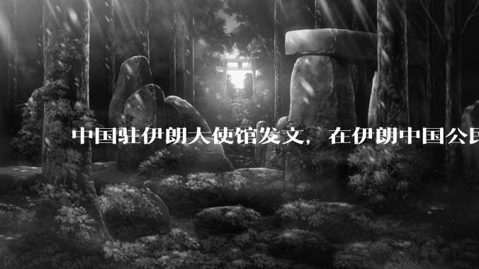 中国驻伊朗大使馆发文，在伊朗中国公民尽快通过陆路边境口岸转道回国或离境，哪些信息值得关注？