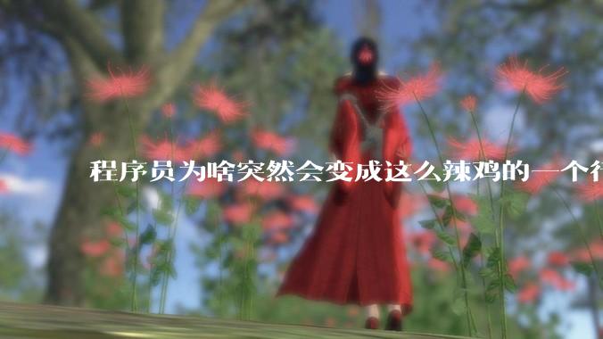 程序员为啥突然会变成这么辣鸡的一个行业？