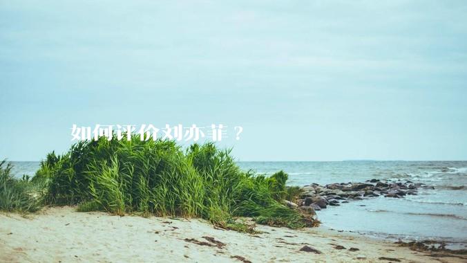 如何评价刘亦菲?