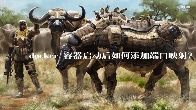 docker 容器启动后如何添加端口映射？