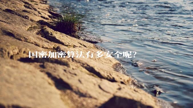 国密加密算法有多安全呢？