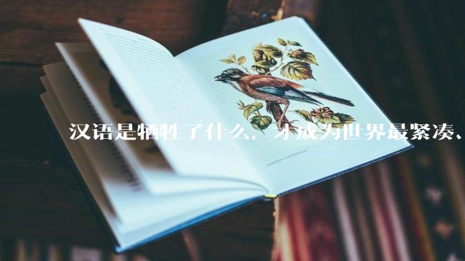 汉语是牺牲了什么，才成为世界最紧凑、最高效的语言？