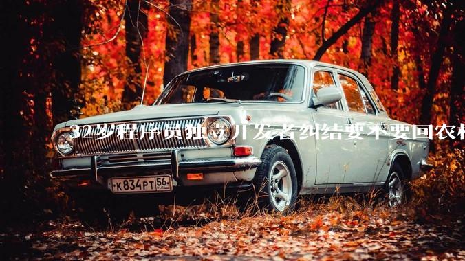 32岁程序员独立开发者纠结要不要回农村生活?