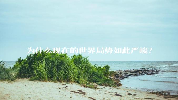 为什么现在的世界局势如此严峻？