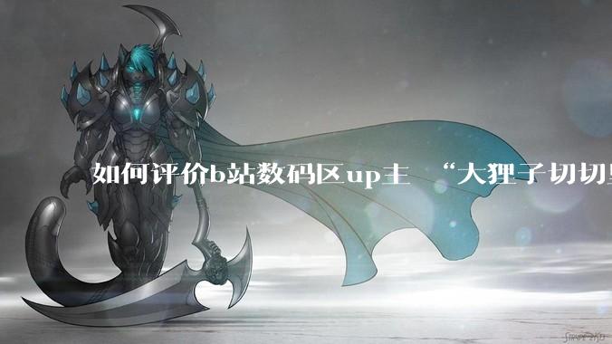 如何评价b站数码区up主 “大狸子切切里”?