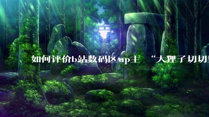 如何评价b站数码区up主 “大狸子切切里”?